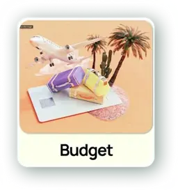 Track budget
